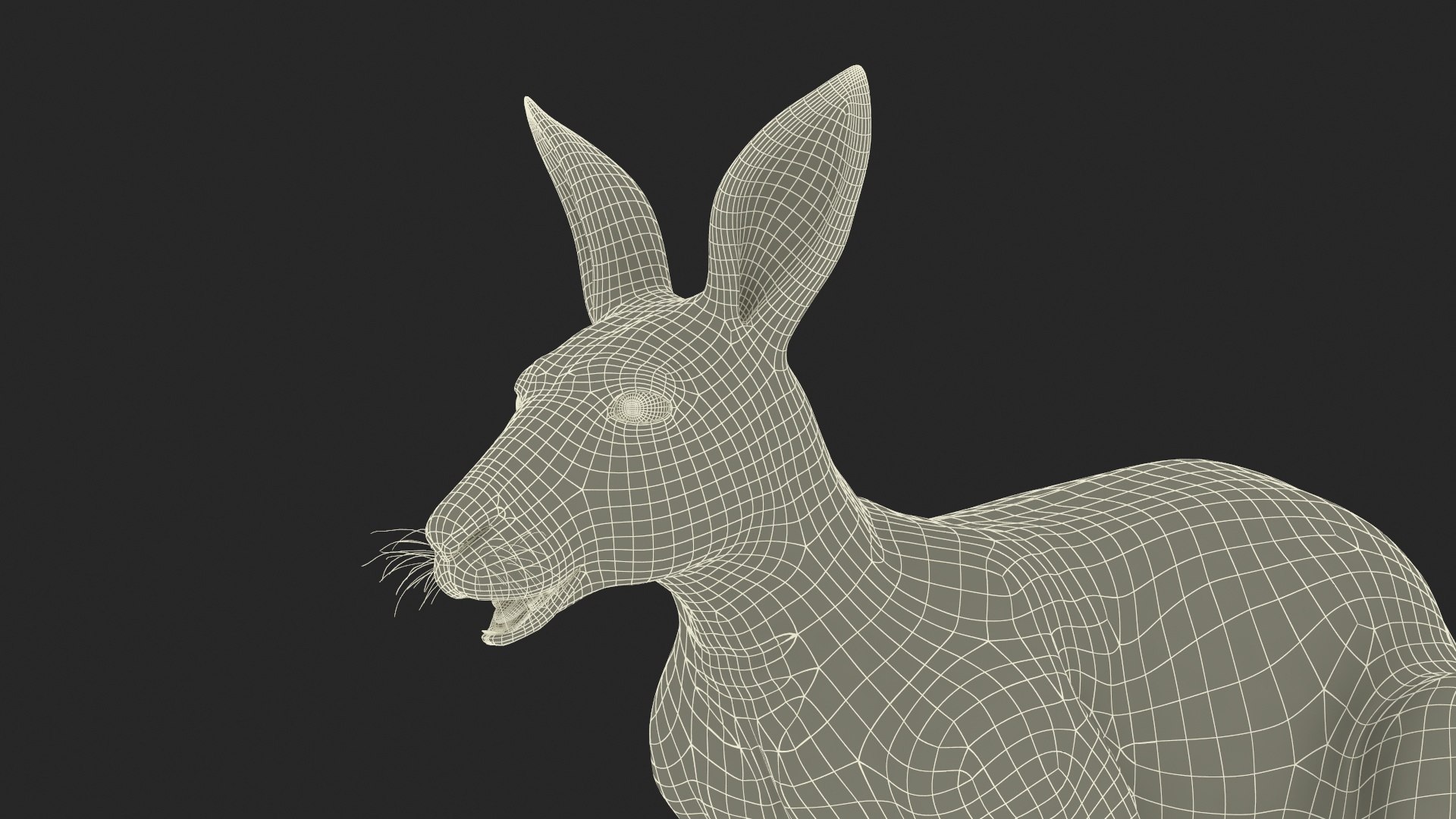 Kangaroo Fur Rigged 3D model https://p.turbosquid.com/ts-thumb/dE/SiraqH/sn/kangaroofurriggedvray3dmodel030/jpg/1727062430/1920x1080/fit_q87/b6865580d1b6e3a22f386c8bd694b0168ca36a9a/kangaroofurriggedvray3dmodel030.jpg