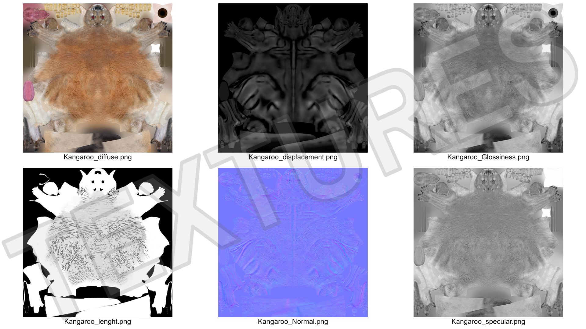 Kangaroo Fur Rigged 3D model https://p.turbosquid.com/ts-thumb/dE/SiraqH/tH/kangaroofurriggedvray3dmodel023/jpg/1727062404/1920x1080/fit_q87/ebdfcc92b7754c2c6449fdac14e1bdb5bcfcbf03/kangaroofurriggedvray3dmodel023.jpg