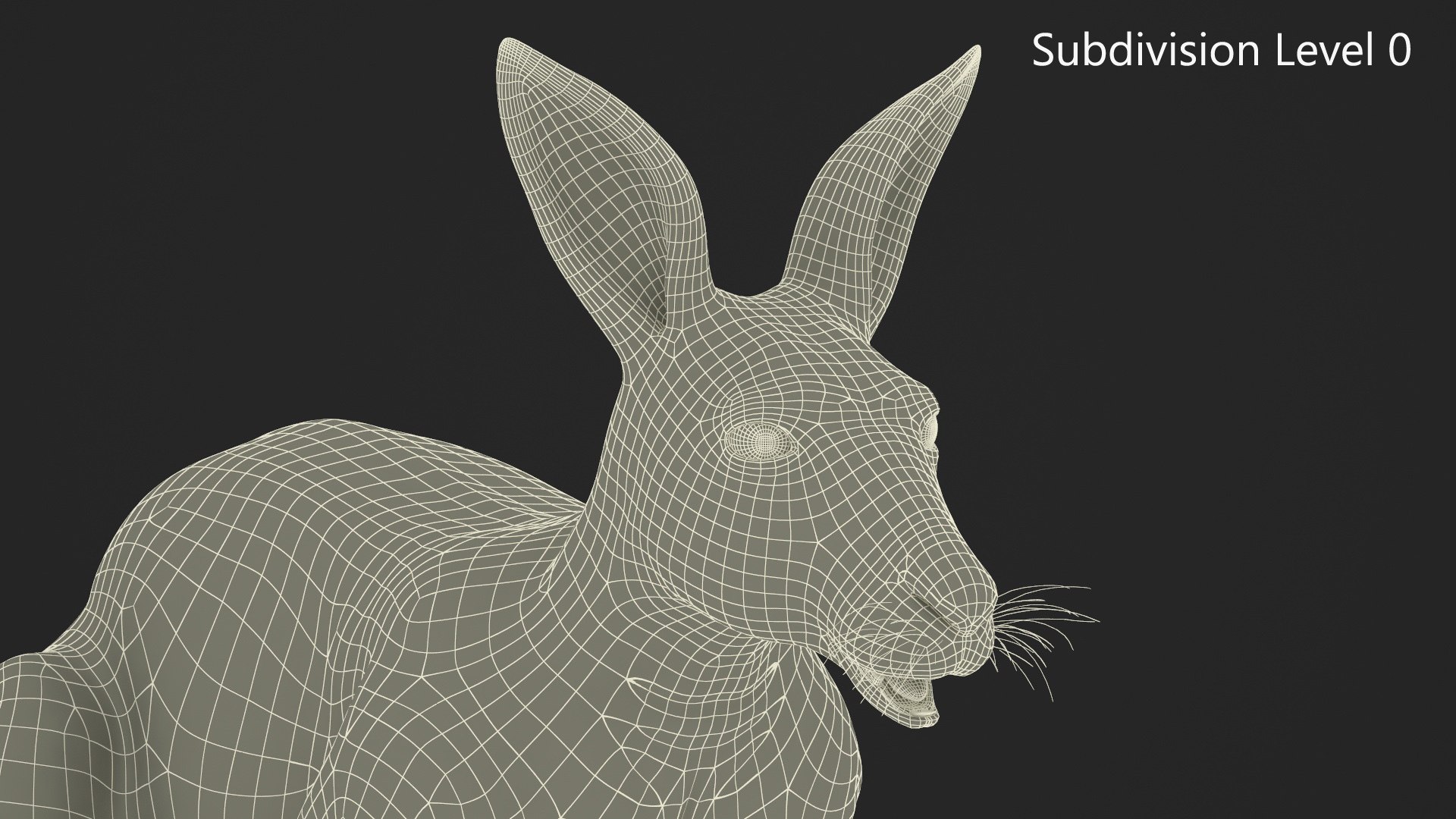 Kangaroo Fur Rigged 3D model https://p.turbosquid.com/ts-thumb/dE/SiraqH/xV/kangaroofurriggedvray3dmodel020/jpg/1727062392/1920x1080/fit_q87/68215753d57570023535ca0ad4bd2bd6048b7688/kangaroofurriggedvray3dmodel020.jpg