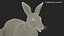 Kangaroo Fur Rigged