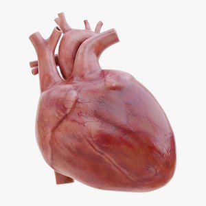 Heart Animated