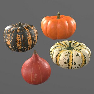 3D model Four varieties of pumpkin gourds