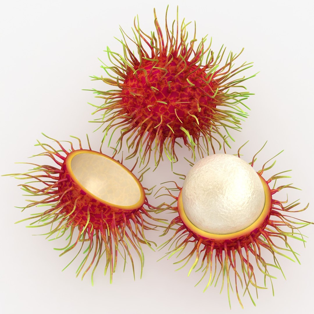 max realistic rambutan