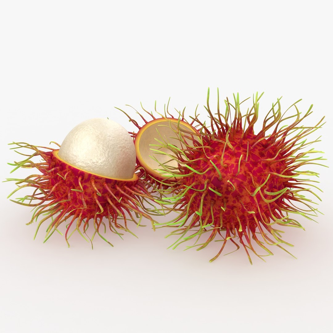 max realistic rambutan
