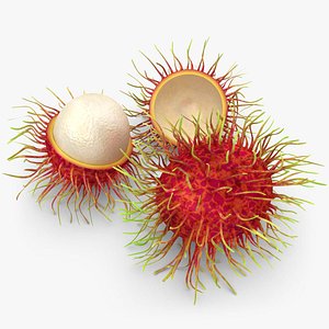 max realistic rambutan