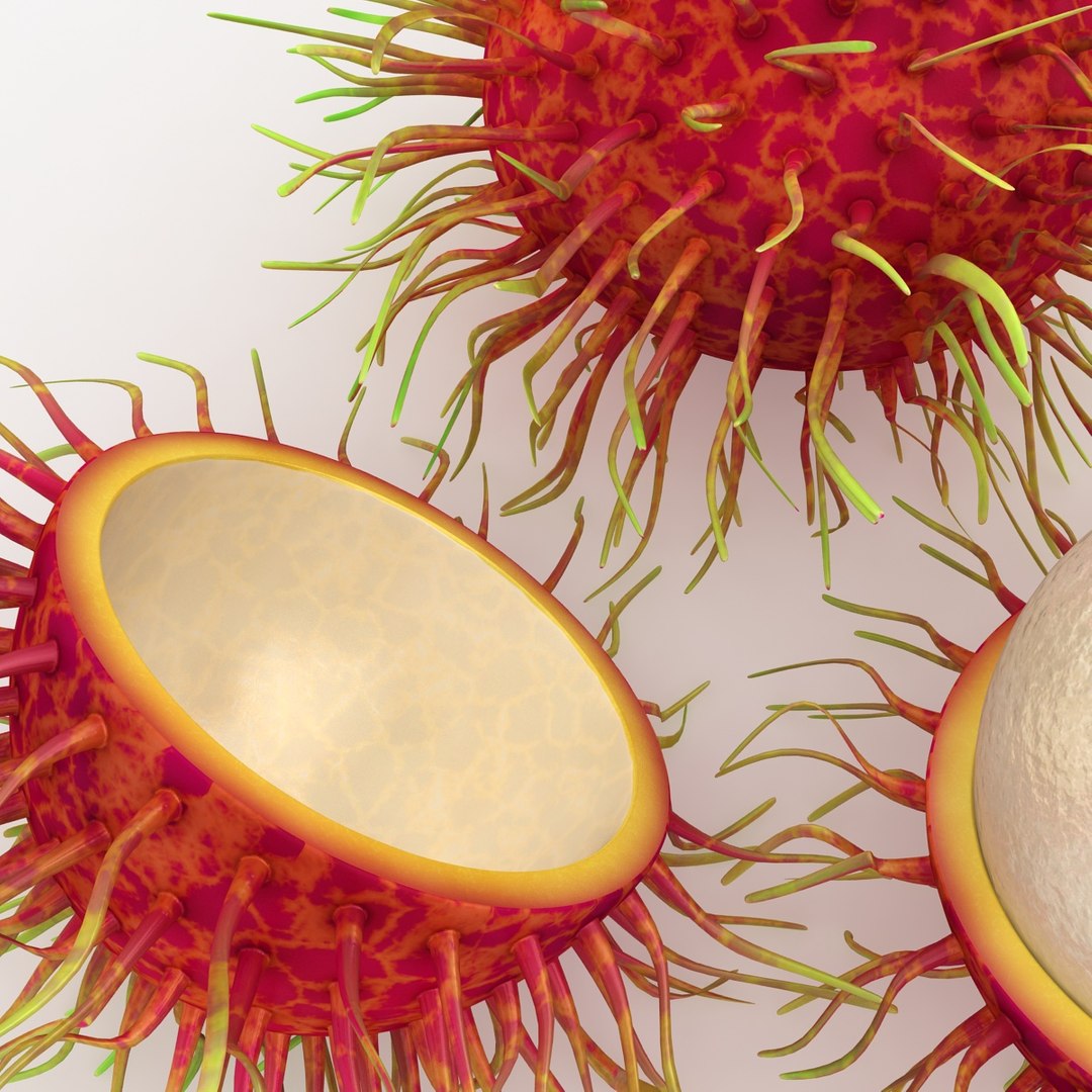 max realistic rambutan