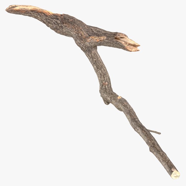 Fallen Branch 02 model
