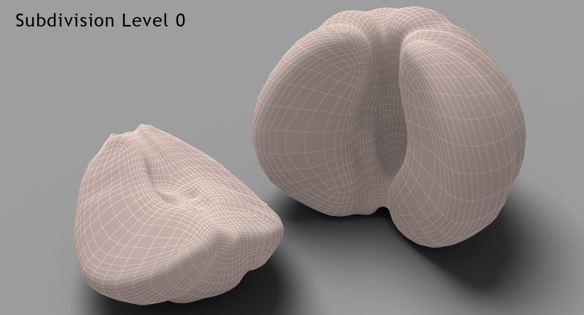 3d mandarin 03 model https://p.turbosquid.com/ts-thumb/dE/wjowNI/1hnI8Swz/wire01/jpg/1454456057/1920x1080/fit_q87/f3285be631d062664a43ef194f1be4837bef2efe/wire01.jpg