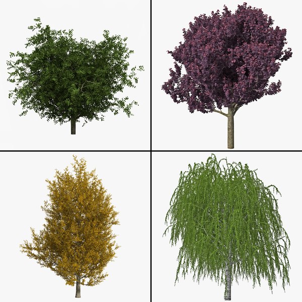 trees v7 3d 3ds