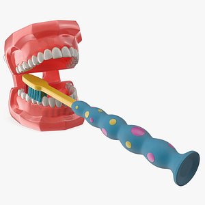 Dental Model with Kids Toothbrush 3D model
