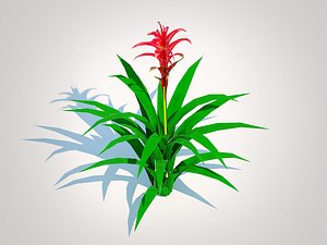 3D Guzmania - Bromeliad model