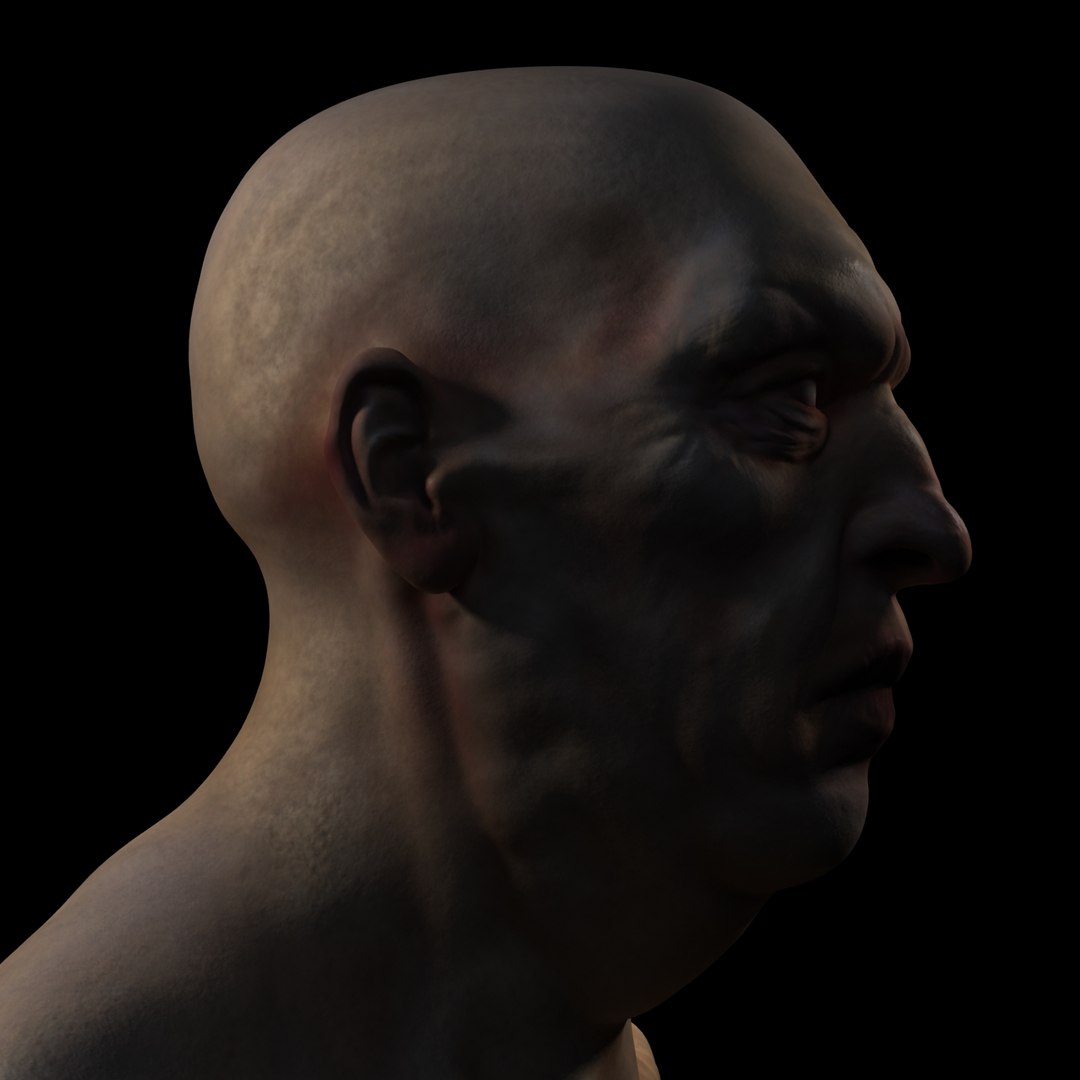 free character 3d model https://p.turbosquid.com/ts-thumb/dF/6rlTUf/8Cz5qYAx/head_2/jpg/1224873655/1920x1080/fit_q87/5a3486c1ff9ef5bf9d75098fdb7dd43fcfb1913b/head_2.jpg