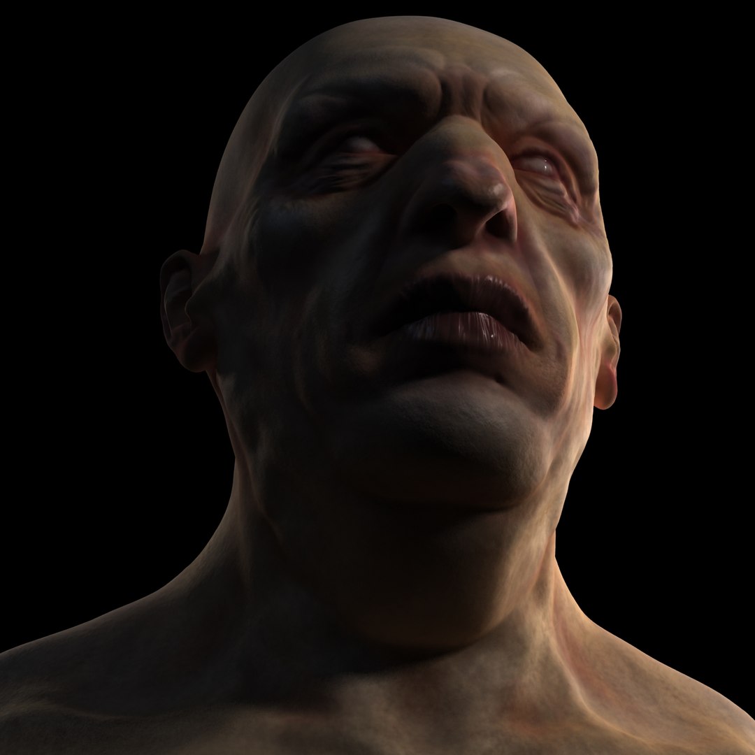 free character 3d model https://p.turbosquid.com/ts-thumb/dF/6rlTUf/NW6PmxO8/head_3/jpg/1224873674/1920x1080/fit_q87/179eb5410b51223d08e260e700989375a8ea96f3/head_3.jpg