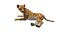 3D Cheetah Cub Lying Pose model