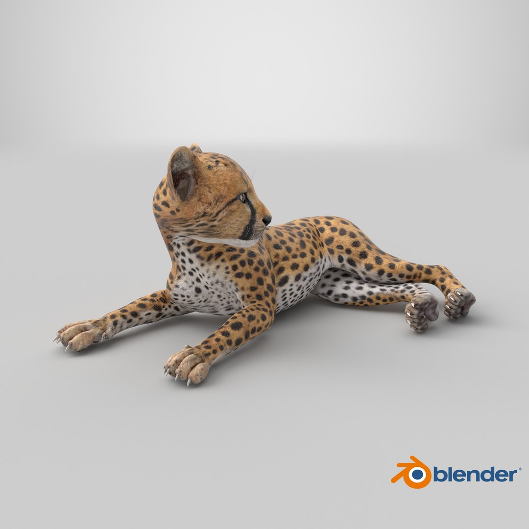 3D Cheetah Cub Lying Pose model https://p.turbosquid.com/ts-thumb/dF/75HfXq/ej/stemcell_blender_cycles_render/png/1744378411/1920x1080/fit_q87/af4ba0886612ca9de751e97c847a3745a76d4a20/stemcell_blender_cycles_render.jpg