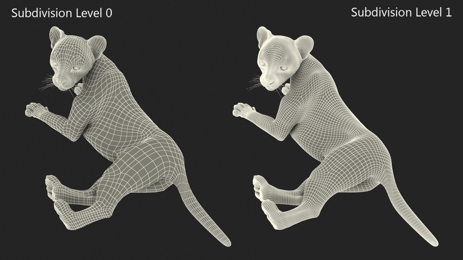 3D Cheetah Cub Lying Pose model https://p.turbosquid.com/ts-thumb/dF/75HfXq/hf/cheetah_cub_lying_pose_013/jpg/1739999198/1920x1080/fit_q87/5a86c91c0289c34512b544b9ffd119c84ed3f940/cheetah_cub_lying_pose_013.jpg