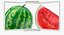 3D Watermelon Whole and Cut Collection 01 - 2 models