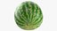 3D Watermelon Whole and Cut Collection 01 - 2 models