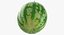 3D Watermelon Whole and Cut Collection 01 - 2 models