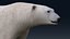 Eisbär KEIN FELL