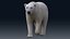 Eisbär KEIN FELL