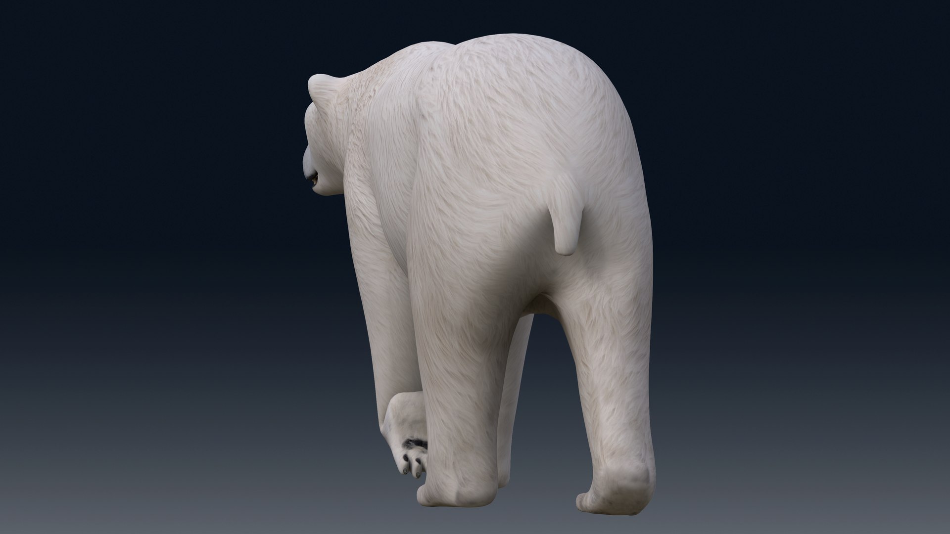 3D Polar Bear NO FUR model https://p.turbosquid.com/ts-thumb/dF/DlsOWv/O9/m06/png/1654843331/1920x1080/fit_q87/0ef685e8772d4d9c76c4ace8529ecaa2de21f877/m06.jpg