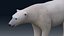 Eisbär KEIN FELL
