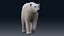 Eisbär KEIN FELL