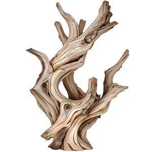 Decorative Old sculpture weathered driftwood twisted Tree 3D model
