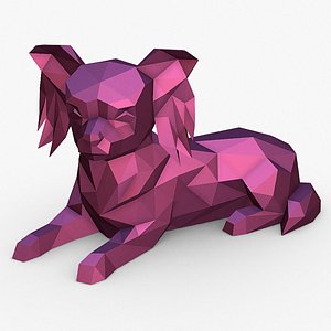 long haired chihuahua