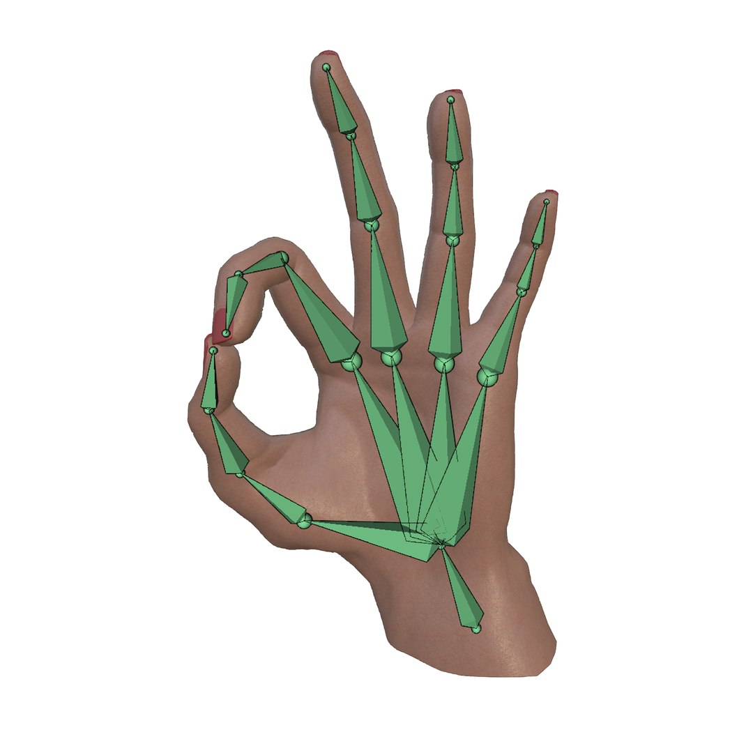 3D Human Hand - Realistic Rigged and Animated with Skin Texture https://p.turbosquid.com/ts-thumb/dF/Ne8ICW/1O/rig_01/png/1771900953/1920x1080/fit_q87/eb8d60a6730cae808df70bdb1f05d3248c3b3217/rig_01.jpg