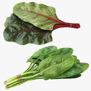 3D Chard and Spinach Bunch Collection