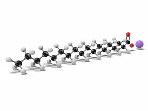 3D Sodium Stearate Molecular model NaC18H35O2