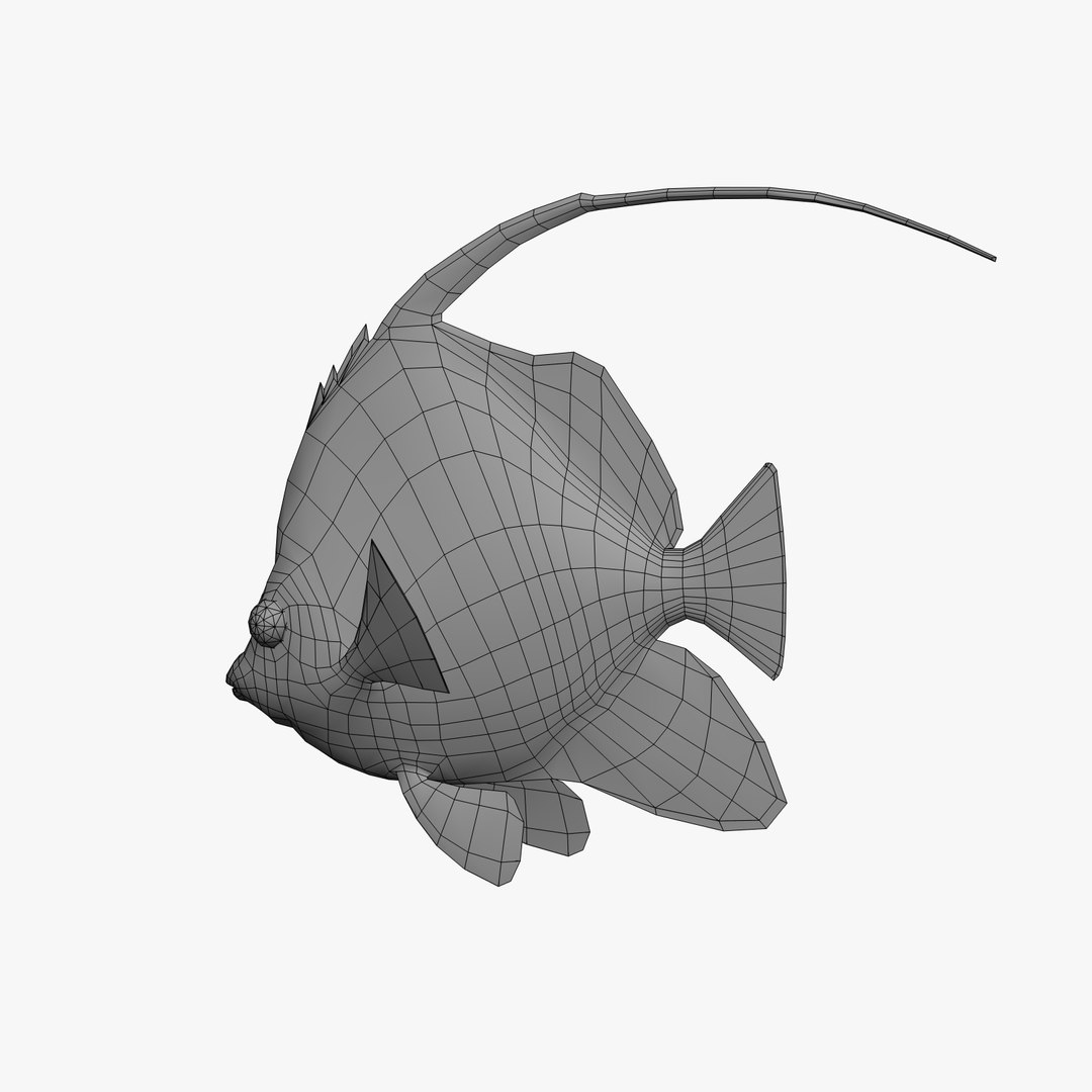 Longfin Bannerfish 3d Model