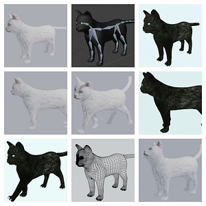 Black and White Cat Collection Rigged and Low Poly