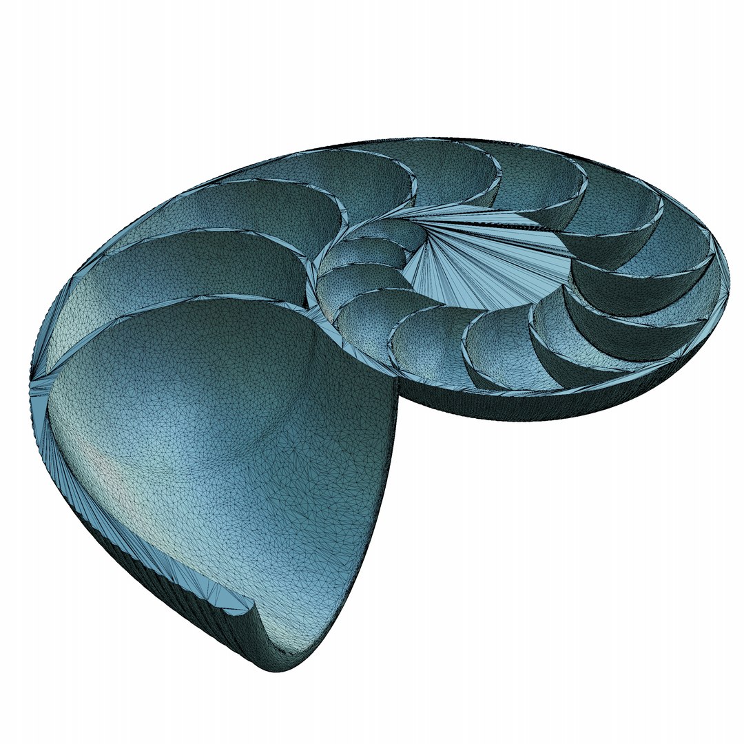 Sea Shell Decor 3D - TurboSquid 2178023