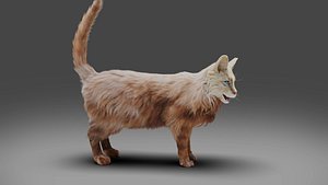 3D model Fur Cat White Rigged in Blender