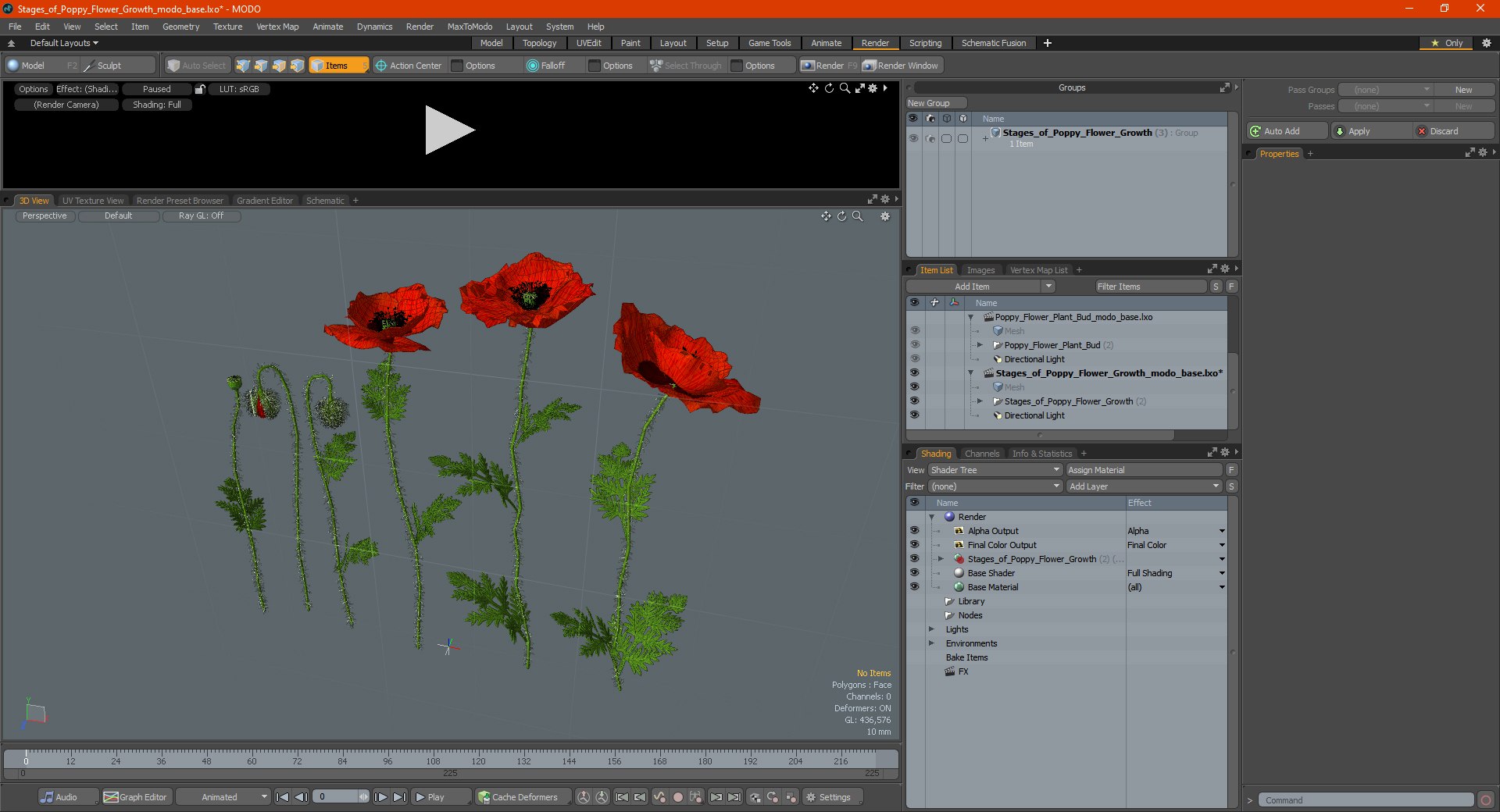 3D stages poppy flower growth model https://p.turbosquid.com/ts-thumb/dF/wnlk9Q/l2h2x11z/stagesofpoppyflowergrowthmb3dmodel026/jpg/1592950359/1920x1080/fit_q87/153f1bc92a6fb5df8ece9cd0860b7790fed1f271/stagesofpoppyflowergrowthmb3dmodel026.jpg