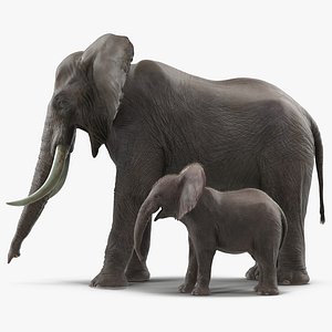elephants rigged 3D model