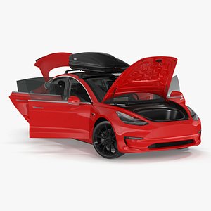Tesla with Thule Car Roofbox on Roof Rack Rigged