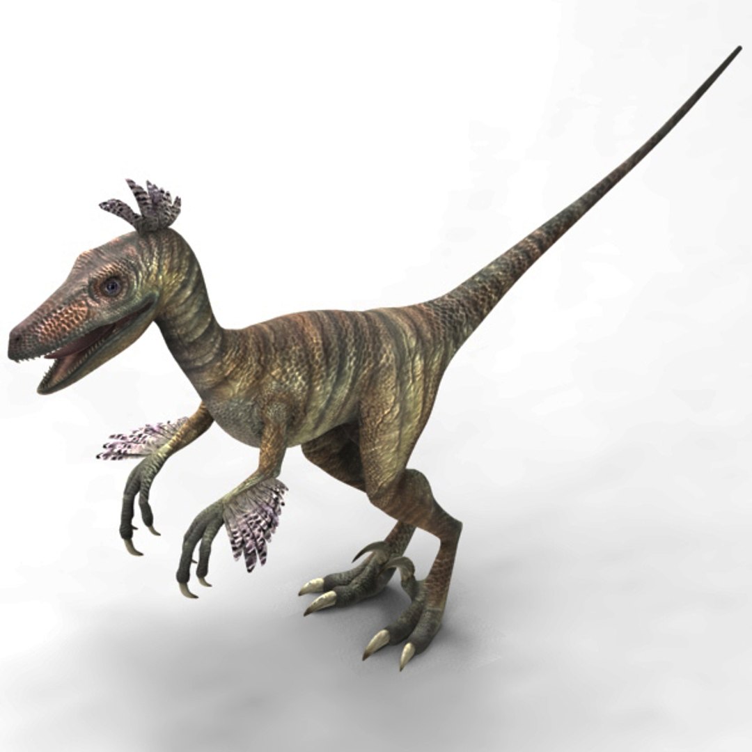3ds Velociraptor Raptor