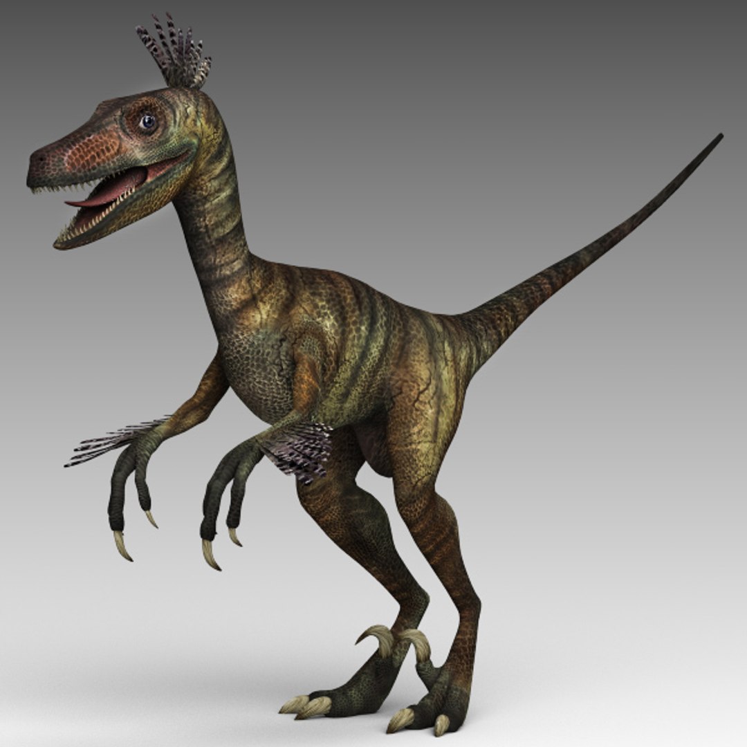 3ds Velociraptor Raptor