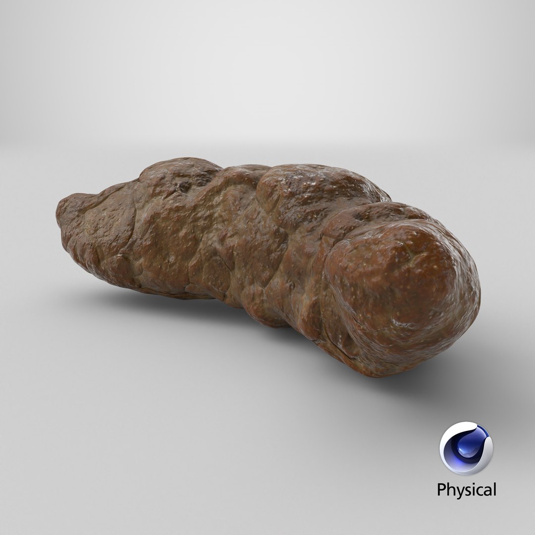 3D model Poop 2 https://p.turbosquid.com/ts-thumb/dG/JwKySL/9z/stemcell_cinema_4d_physical_render/png/1737486892/1920x1080/fit_q87/026cfd360730420f93beda5356375dedb3d64f9c/stemcell_cinema_4d_physical_render.jpg