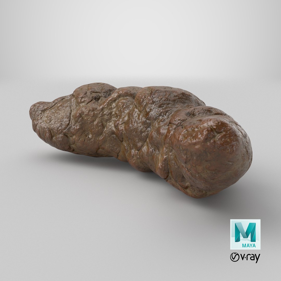 3D model Poop 2 https://p.turbosquid.com/ts-thumb/dG/JwKySL/CC/stemcell_maya_vray_render/png/1737486888/1920x1080/fit_q87/f44e01c246603dcd06979115c7fd4130a1da93bf/stemcell_maya_vray_render.jpg