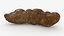 Poop 2