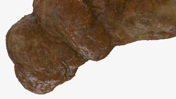 modelo 3d Caca 2 - TurboSquid 2340915