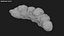 Poop 2