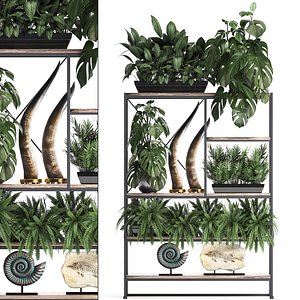 exotic plants decor shelf model