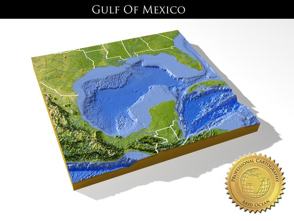 3d relief gulf mexico topography