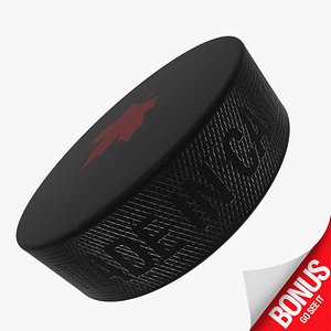 Hockey Puck + 15 Team's Puck with Logo